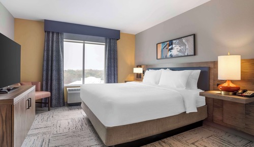 Suite, 1 King Bed