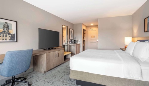 Room, 1 King Bed
