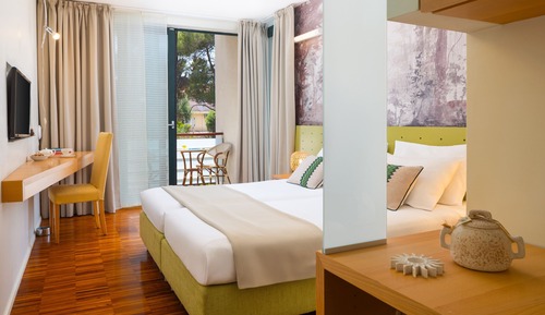 Superior double room with balcony, park view