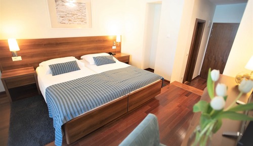 Premium double room with park view balcony