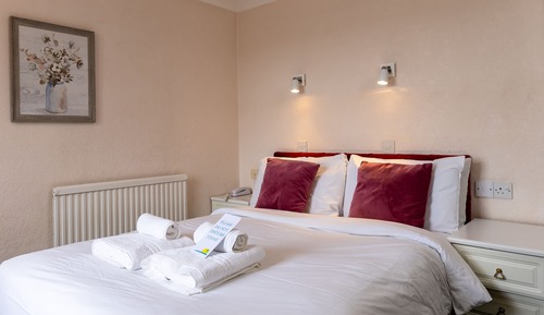 Basic Double Room