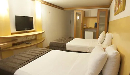Luxury Single Room