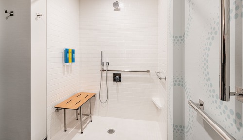 Studio, 1 King Bed, Accessible (Mobility & Hearing, Roll-in Shower)
