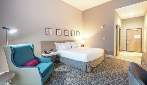 Room, 1 King Bed, Accessible, Bathtub