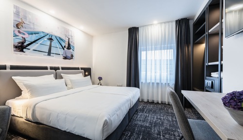 Double Room, 1 King Bed