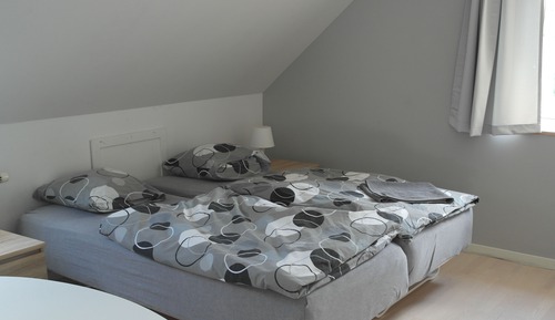 Basic Double Room
