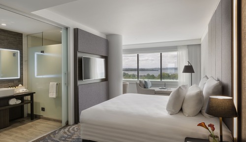 Superior Room, 1 King Bed, Lake View