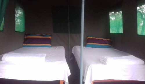 Economy Tent