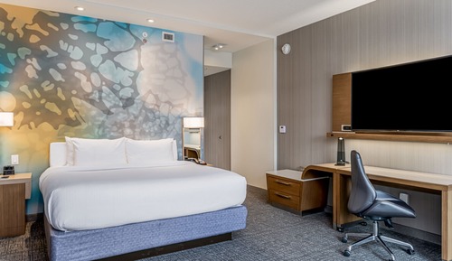 Room, 1 King Bed with Sofa bed, Non Smoking (Hearing Accessible)