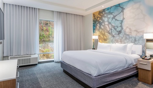 Suite, 1 Bedroom (Mobility Accessible, Roll-In Shower)