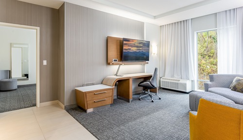 Room, 1 King Bed with Sofa bed, Non Smoking (Mobility Accessible, Roll-In Shower)