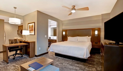 ADA Studio, 1 King Bed (Roll in Shower)