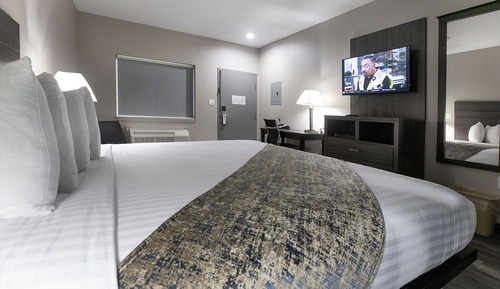 Room, 1 King Bed