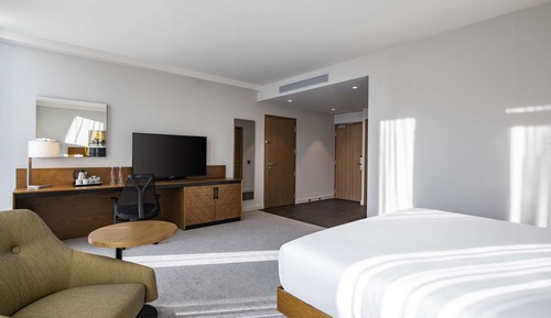 Room, 1 King Bed, Accessible