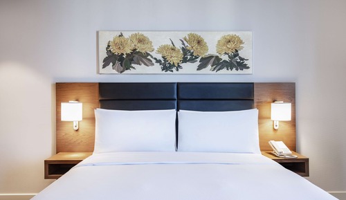 Room, 1 King Bed