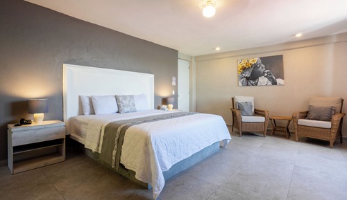 Family Studio Suite