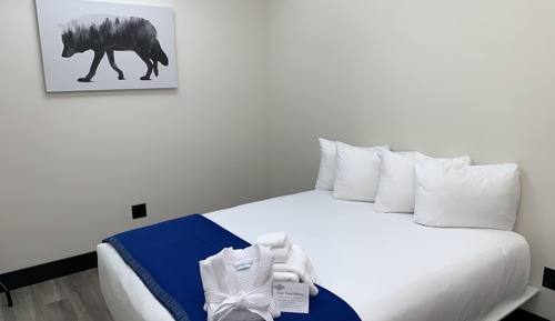 Standard Single Room, 1 Queen Bed, Accessible, Ground Floor with Shared Bath