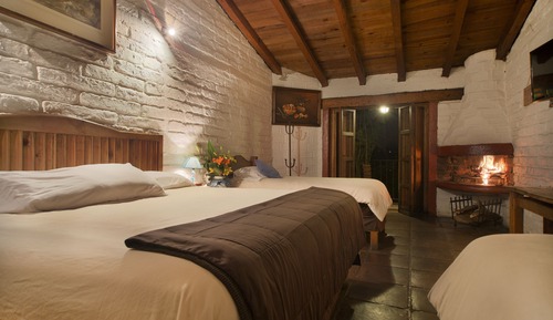 Design Quadruple Room