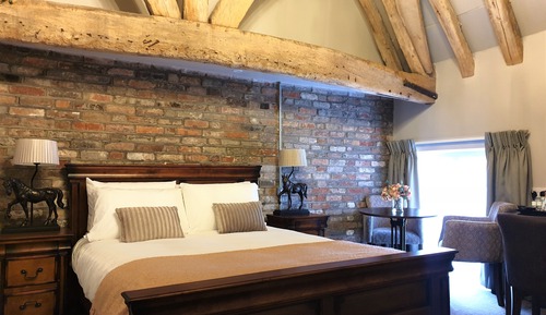 Standard Room, 1 King Bed, Non Smoking (Theme Room)