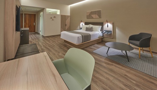 Room, 1 King Bed, Non Smoking
