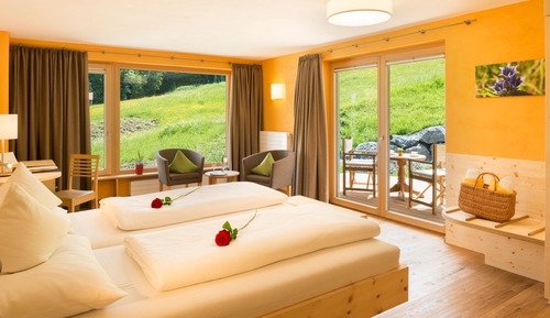 Junior Room, Bathtub, Mountain View