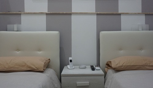 Business Double or Twin Room, 2 Twin Beds, Non Smoking