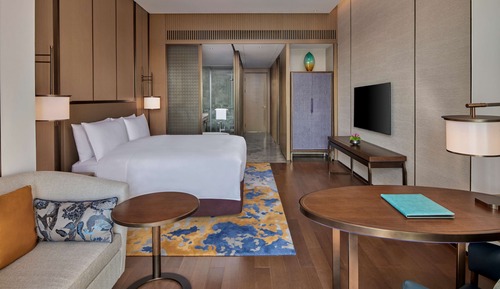 Basic Room, 1 King Bed