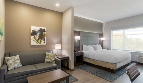 Standard Room, 1 King Bed, Non Smoking, Refrigerator & Microwave (with Sofabed)