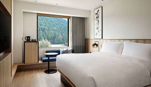 Standard Room, 1 King Bed, Non Smoking
