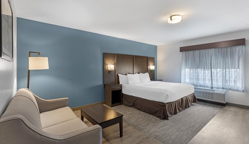 Standard Room, 1 King Bed, Non Smoking, Refrigerator & Microwave (Shower Only;with Sofabed)