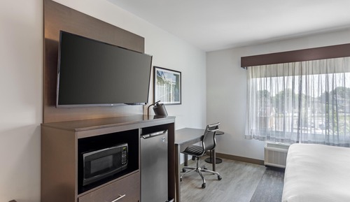 Standard Room, 1 King Bed, Non Smoking, Refrigerator & Microwave (with Sofabed)