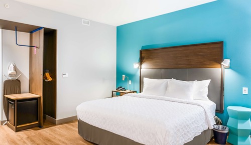 Room, 1 King Bed (Roll-In Shower)
