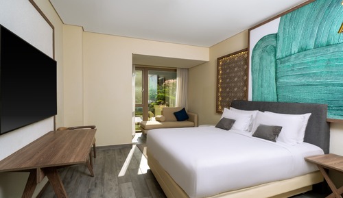 Room, 1 King Bed, Terrace