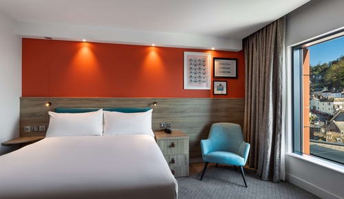 Room, 1 King Bed