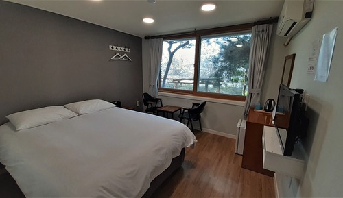 Basic Double Room