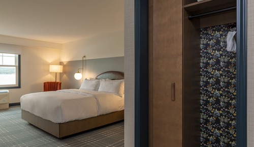 Studio, 1 King Bed, Lake View