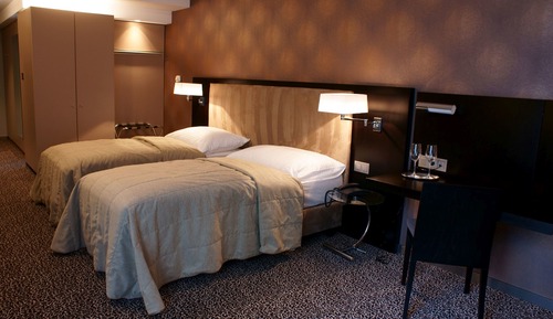 Business Double or Twin Room, 2 Twin Beds