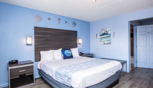 Standard Room, 1 King Bed with Sofa bed