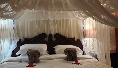 Superior Suite