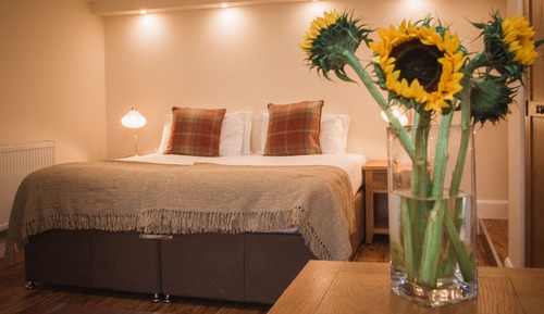 Deluxe Double or Twin Room, 1 King Bed
