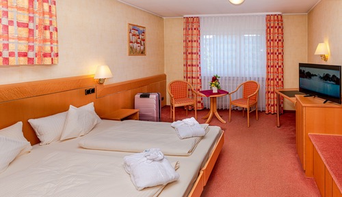 Standard Double or Twin Room