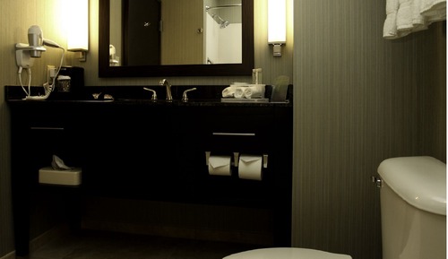 Standard Room, 1 King Bed, Mobility Accessible (Roll-In Shower)
