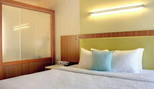 Suite, 1 King Bed with Sofa bed (Hearing Accessible)