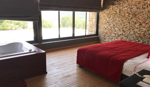 MANOLYA AYISIGI SUIT