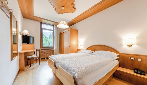 Economy Double or Twin Room, Mountain View