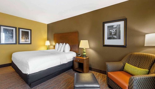 Standard Room, 1 King Bed, Non Smoking, Refrigerator & Microwave