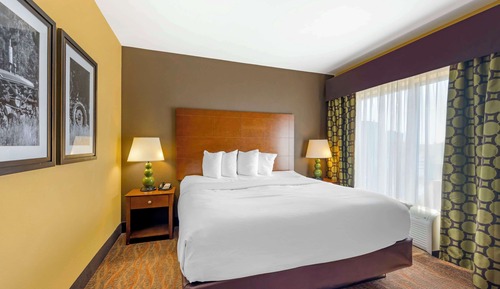 Suite, 1 King Bed with Sofa bed, Non Smoking, Refrigerator & Microwave (with Sofabed)