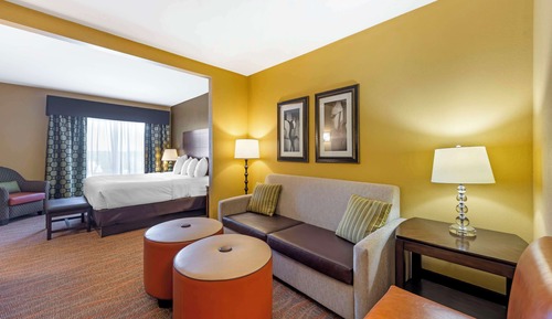 Suite, 1 King Bed with Sofa bed, Non Smoking, Refrigerator & Microwave (with Sofabed)