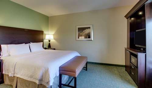 Room, 1 King Bed, Accessible, Bathtub (Mobility & Hearing)