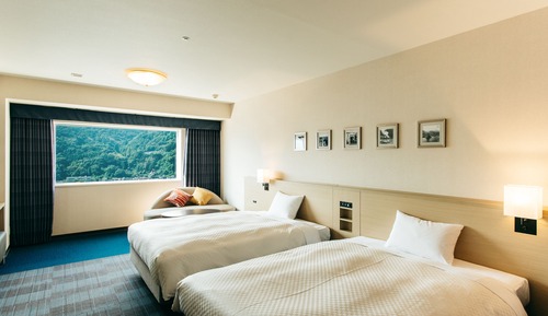 Deluxe Twin Room, Non Smoking